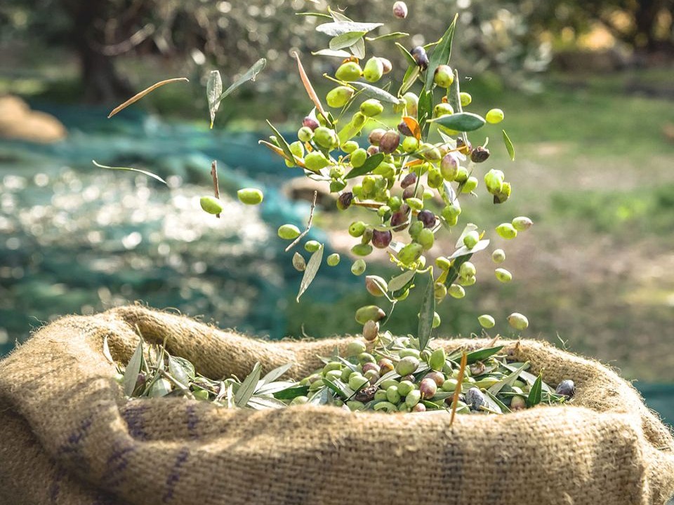 Επείγουσα ανάγκη επίλυσης εκκρεμοτήτων στα προγράμματα ΟΕΦ