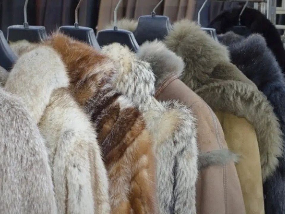 Σε τροχιά ανάκαμψης και πάλι η γουνοποιία